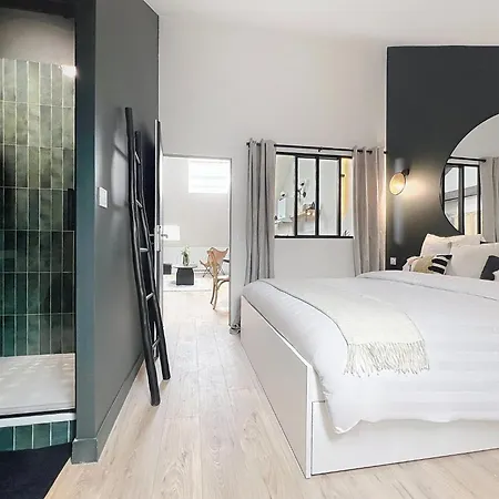 Jungle - Cathedrale - Centre Remeš