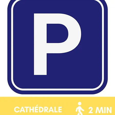 Jungle - Hyper Centre - Cathédrale *