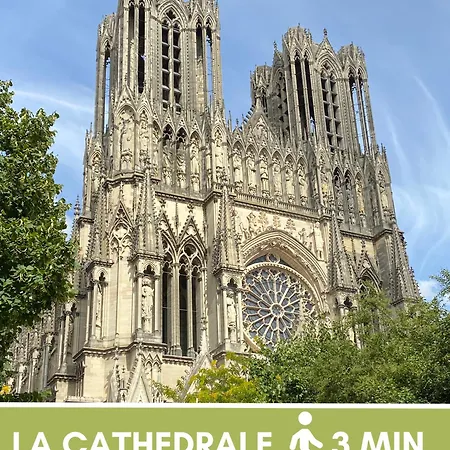 Jungle - Hyper Centre - Cathédrale