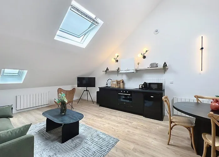 Jungle - Cathedrale - Centre Reims