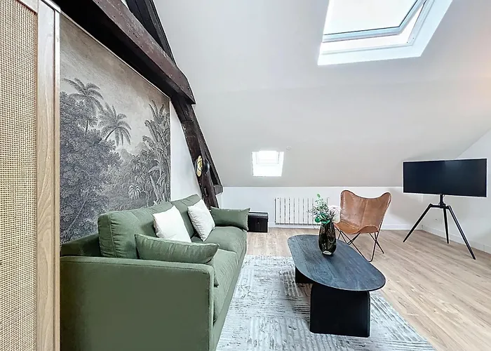 Jungle - Cathedrale - Centre Reims