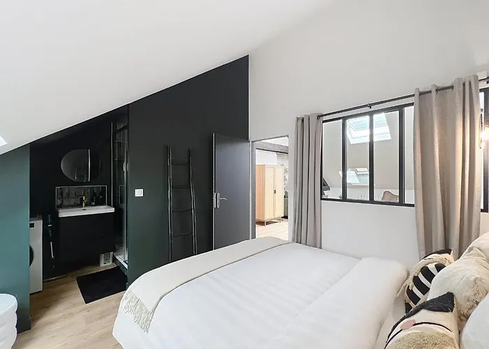 Jungle - Cathedrale - Centre Reims